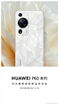华为P60 露出图