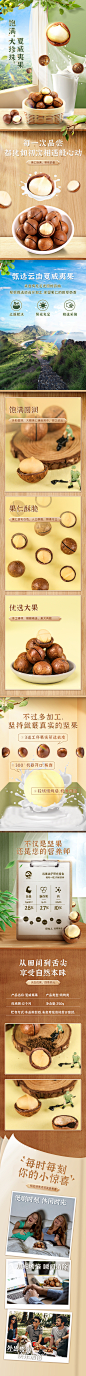 夏威夷果详情