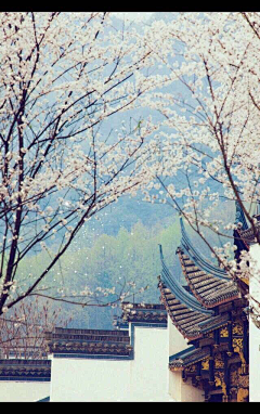 乖乘采集到宿雨空山