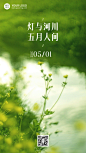 5月你好月初语录排版手机海报