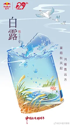 #白露# 蒹葭苍苍，白露如珠。秋意渐起，叶色渐黄，静感季节流转。 ​​​