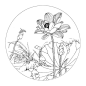 国风植物线稿的搜索结果_360图片
