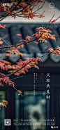 2020除夕地产稿专刊！ : 祝大家健健康康，好好过年！