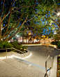 Napier Street Open Space by Oculus-10 « Landscape Architecture Works | Landezine