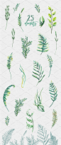 健康花圈绿色生态叶子水彩绿叶树叶花环PNG免抠设计素材 (6)