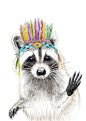 Waschbär gezeichnet von Janine Sommer ,raccoon,waschbär ,native american ,feather ,headpiece ,nature ,drawing ,illustration