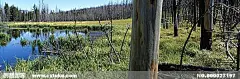 风景 自然  自然风景 自然风光