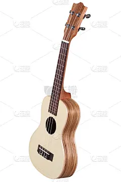 夏威夷吉他
