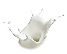 lianyanjuan采集到牛奶素材