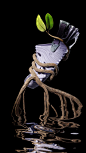 69783e935affb9b3b4c2f759083f950d