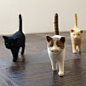 日本手工爱好者nekolabo的一组手工羊毛毡猫咪。一只只灵动的猫咪，爱意萌萌。这得有多爱猫啊