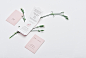 Folio + Flores : Folio + Flores is dedicated to offering high grade organic skincare products, medicinal plants, superfoods and herbs, as well as eco-friendly items for life and home, sourced from around the world. Based in New Orleans, Folio + Flores car