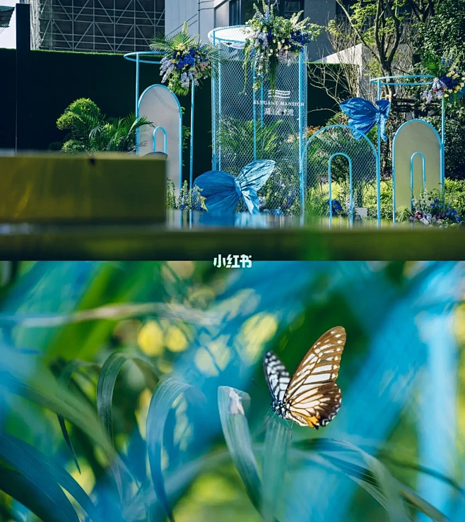 春之新生｜梦幻蝶境 蝴蝶美陈造景+观赏布置-花瓣网