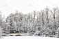 四季,圣诞卡,水平画幅,雪,无人,汉普特斯西斯公园,湖,白色,冬天