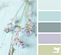 color sprig