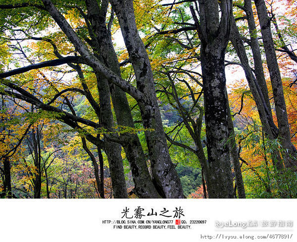 光雾山诺水河,【光雾山之旅 Ⅳ】, 白小...