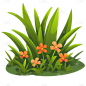 植物通用写实插画草丛元素素材