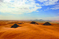 科学网—沙漠周期性“变绿”引人类走出非洲