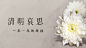 清明节追思悼念菊花实景横版海报