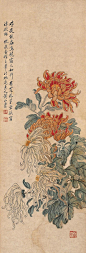 于非闇菊花的搜索结果_百度图片搜索