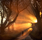 “黑暗树篱（The Dark Hedges）”世界上最著名的林荫道之一，位于英国北爱尔兰小村庄埃尔默附近的一座树林，山毛榉树成为了这个地方的标志，对于摄影师和画家来说，这个地方非常的棒，而对于普通游客来说，在这个地方的魅力会让他们流连忘返。（via：boredpanda.com/the-dark-hedges-northern-ireland ​​​​...展开全文c