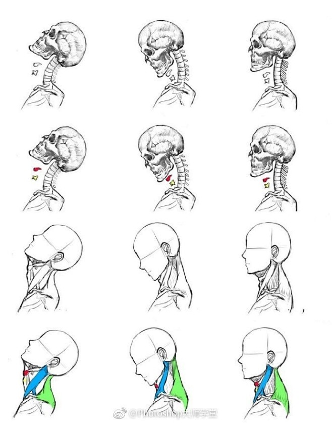 #绘画学习# 一组头部角度绘制小tips...