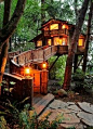 Inhabited Tree House - Seattle Washington