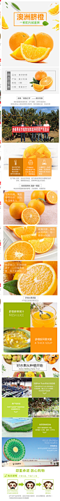 齐峰缘澳大利亚脐橙6颗进口橙子黄心橙新鲜水果澳橙香甜多汁包邮-tmall.com天猫