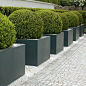 buxus balls topiary in plain grey planters and the palest stone paths: