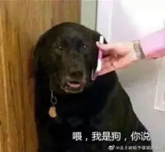 应姐妹们要求 开个表情包分享贴 来吧 展示 ... 来自马可阿菠萝赛东 - 微博