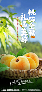 黄桃采摘活动海报-源文件-志设网-zs9.com