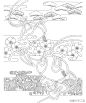 刺绣｜花草图案