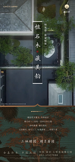 YOYO111122采集到北召马