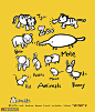 可爱手写字体森林动物手绘动物涂鸦插画图片萌宠动物素材下载-优图网-UPPSD