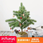 阿楹 带灯松针圣诞树套餐发光60cm裸树家用ins小型桌面摆件装饰品-淘宝网