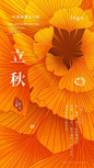橙黄色轻奢枫叶一叶知秋立秋节气海报 (2)
