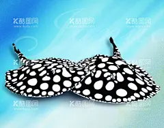 黑白魟鱼水族观赏鱼海报壁纸  - 源文件下载【酷图网】魟鱼,黑白子,黑白魟鱼,金龙鱼,龙鱼,红龙鱼,水族观赏鱼,红金鱼,小金鱼,大海,年年有鱼,水中锦鲤,户外,鱼池,深海鱼,水族生物,水下鱼群,观赏,背景,海报,素材,摄影,生物世界,小鱼大海,观赏鱼,观赏金鱼,鱼缸,鲜艳,鱼类,金鱼,锦鲤,鱼群,鱼,莲叶,莲花,鲤鱼,鲫鱼