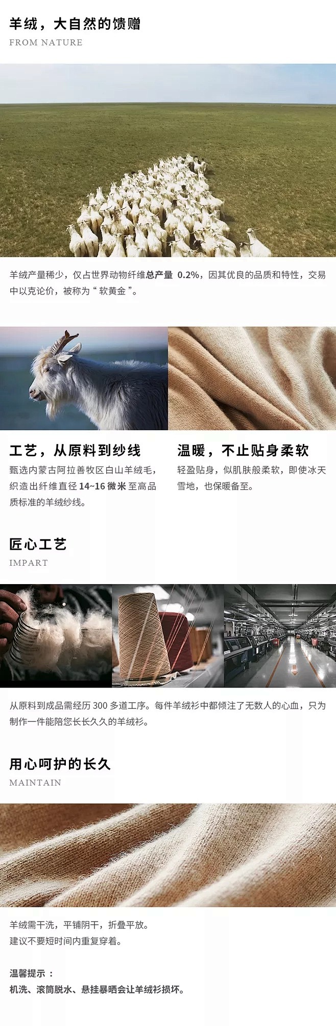 羊绒8