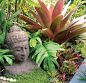16 Ways to Bring Balinese Style Home --彩色叶植物