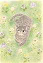 mayumi maeda的猫插画作品