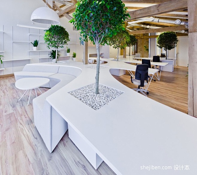 绿色办公室设计 心与自然相拥
