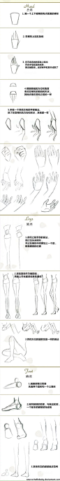 插画 教程 手绘 