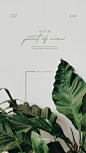 其中包括图片：Typography instagram aesthetic