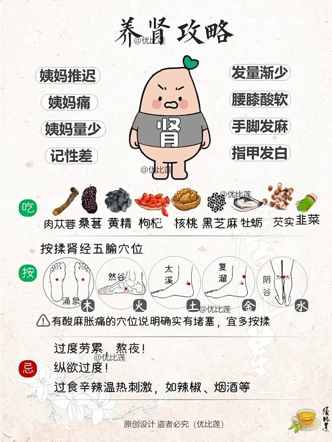 五脏六腑的养生攻略