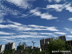 奥度文创采集到大学校门