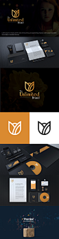 Luxurious Royal Logo : My latest project for a U Letter Logo Design. Don't forget to share your feedback below. This logo will look great in both print and web.