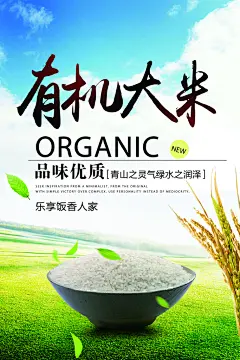 品味优质大米稻米饭店促销宣传海报