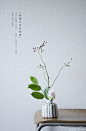                                                                                                     #花时间# 4『寂静夜色花独舞』花材：野蔷薇（果实），柠檬叶（杜鹃花科），姜荷花。
花器：和风古陶器。
图3，这次插花习作的笔记。
个人很喜欢这次插花习作的配色和意境，习作名字也是思考了很久。只是姜荷花的位置实在不好决定，试着改变了很多的角度和倾斜度，都不满意。后来拿给插花老师看照片，她...展开全文c   