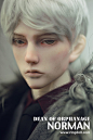Ringdoll戒之人形 院长2.0光明版 Norman2.0 正版BJD娃娃SD 叔体-淘宝网