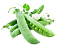 豌豆